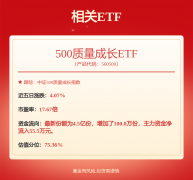 合根基面各维度看 